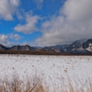 snow, field, japan, nikko, travel, photography